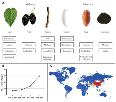 Sci Total Environ綜述 | 趙愛春教授課題組 桑-蠶系統(tǒng)的生態(tài)雙重奏——重金屬污染土地的安全利用與修復潛力及其生物質(zhì)能資源數(shù)據(jù)庫信息系統(tǒng)構(gòu)建
